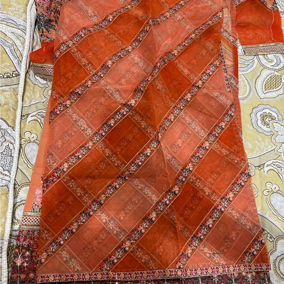 Pakistani dresses - Picture 9 of 11